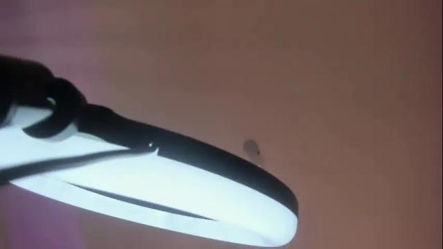 Image 11 of alexa_star1 Stream on Chaturbate on 5 months ago
