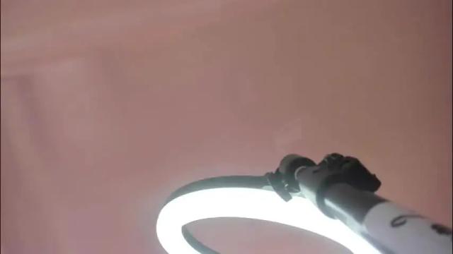 Thumbnail 3, alexa_star1's Stream at Chaturbate, 1 month ago