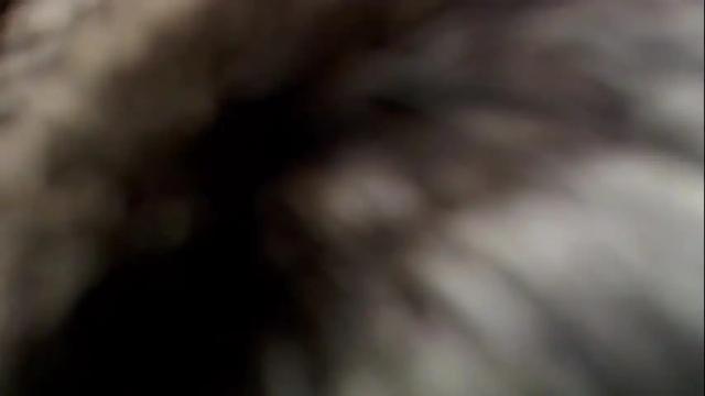 Image 11 of alexabuttler Stream on Chaturbate on 3 days ago