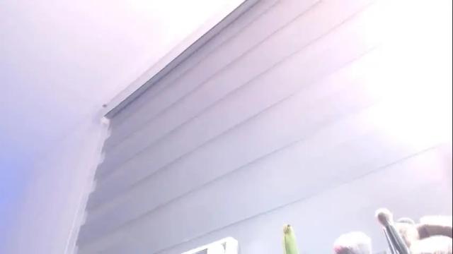 Image 6 of alexahoffson Stream on Chaturbate on 1 month ago