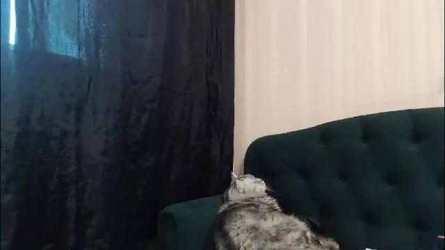 Image 11 of alexandrazaryanova Stream on Chaturbate on 1 month ago