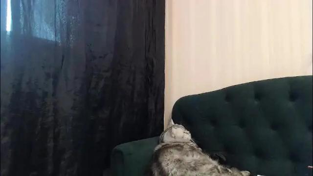 Image 12 of alexandrazaryanova Stream on Chaturbate on 1 month ago