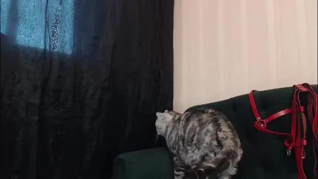 Image 6 of alexandrazaryanova Stream on Chaturbate on 1 month ago