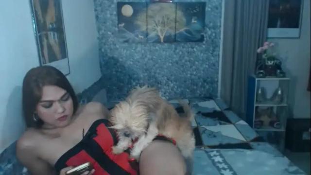 Image 8 of alexandriasexycock Stream on Chaturbate on 1 month ago