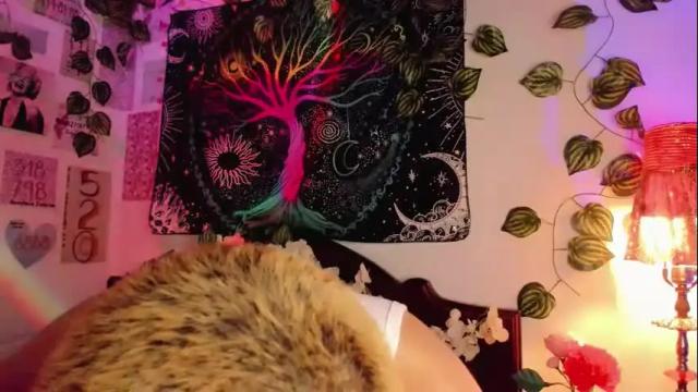 Image 7 of alexiafisher_ Stream on Chaturbate on 1 month ago