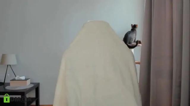 Image 7 of alexx_collins Stream on Chaturbate on 14 months ago