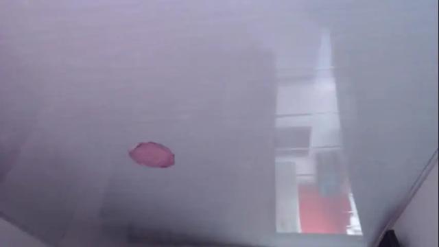 Image 2 of alexxiatouch Stream on Chaturbate on 3 months ago