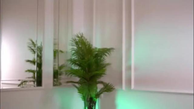 Thumbnail 1, alexxiskye's Stream at Chaturbate, 1 month ago