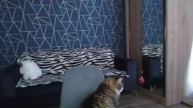 Image 3 of alice_orfey Stream on Chaturbate on 19 months ago