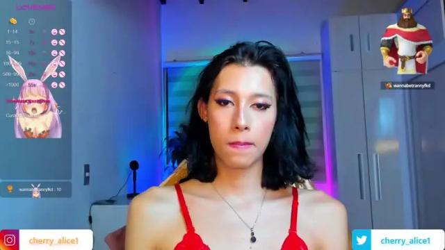 Image 11 of alicee_salvatore Stream on Chaturbate on 19 months ago