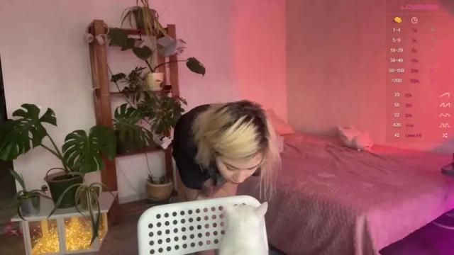 Image 12 of alicekit Stream on Chaturbate on 15 months ago