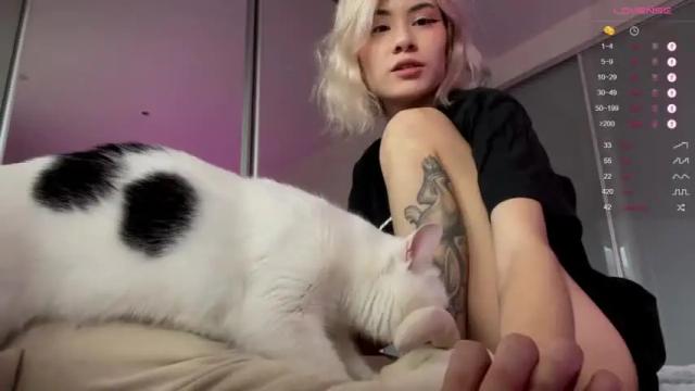 Image 11 of alicekit Stream on Chaturbate on 14 months ago