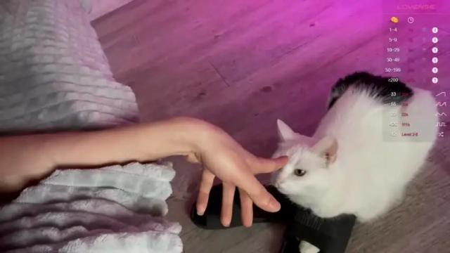 Image 4 of alicekit Stream on Chaturbate on 14 months ago