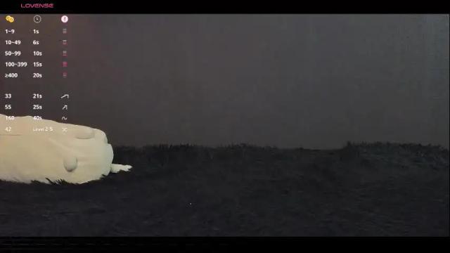 Image 7 of alicekit Stream on Chaturbate on 1 month ago