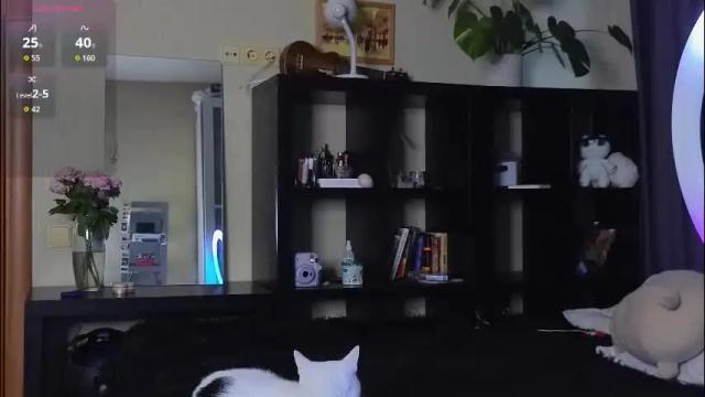 Thumbnail 2, alicekit's Stream at Chaturbate, 1 month ago