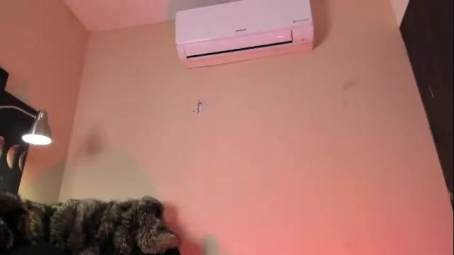 Thumbnail 1, alicepoixxxon's Stream at Chaturbate, 1 month ago