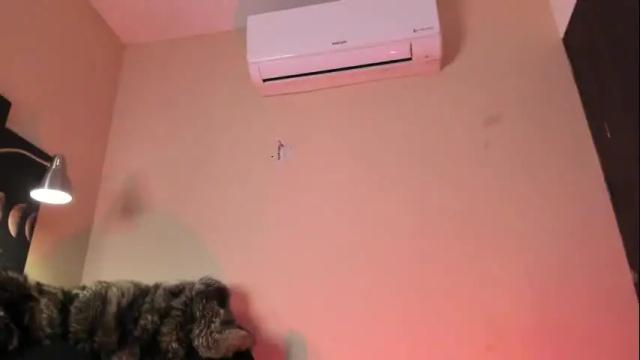 Image 2 of alicepoixxxon Stream on Chaturbate on 1 month ago