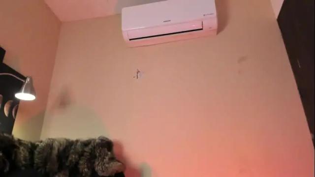 Image 4 of alicepoixxxon Stream on Chaturbate on 1 month ago