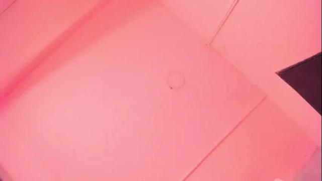 Image 7 of alicepoixxxon Stream on Chaturbate on 1 month ago