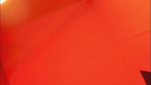 Image 3 of alicepoixxxon Stream on Chaturbate on 1 month ago