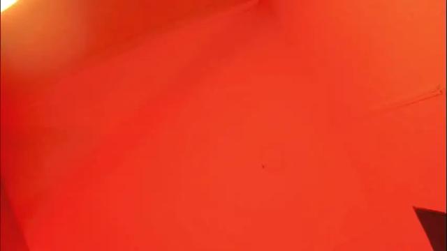 Image 4 of alicepoixxxon Stream on Chaturbate on 1 month ago