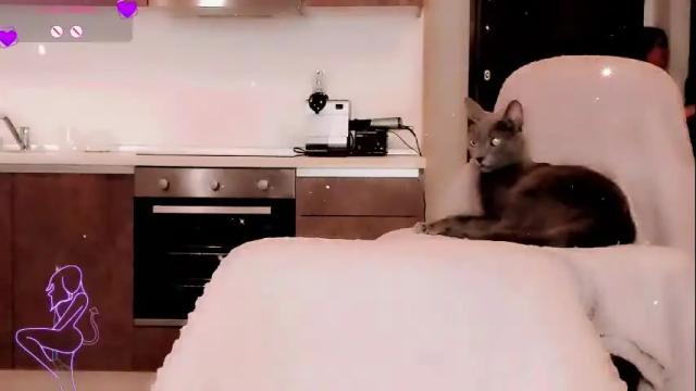 Image 11 of alicia_kitten Stream on Chaturbate on 1 month ago