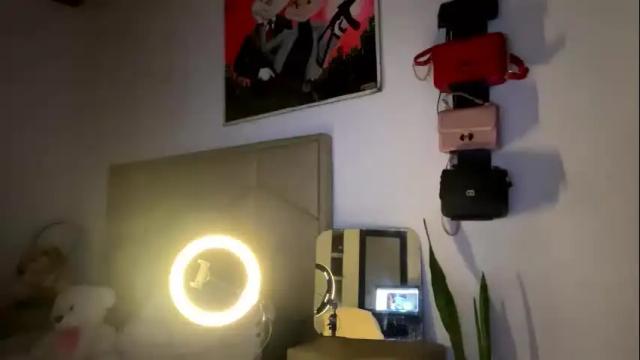 Image 12 of aliciabiden Stream on Chaturbate on 1 month ago