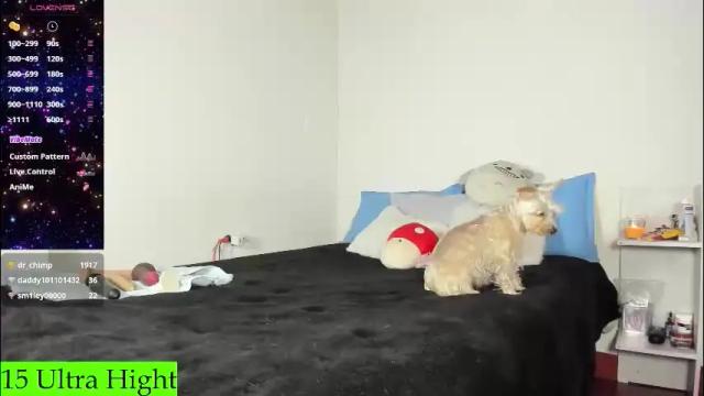 Thumbnail 2, alien_universe's Stream at Chaturbate, 2 months ago