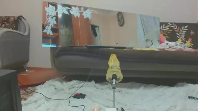 Image 4 of alinasissyxx Stream on Chaturbate on 1 month ago