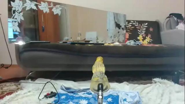 Image 12 of alinasissyxx Stream on Chaturbate on 8 months ago