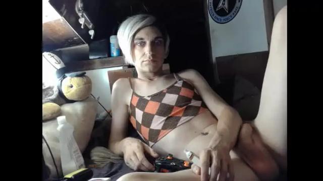 Image 11 of alishaluv Stream on Chaturbate on 14 days ago