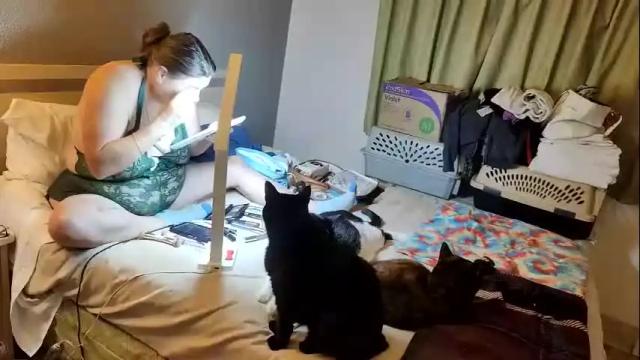 Image 8 of allbuttplaywelcome69 Stream on Chaturbate on 2 months ago