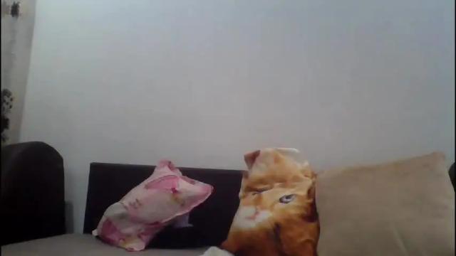 Image 2 of allesy_casey Stream on Chaturbate on 5 months ago