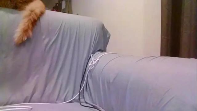 Image 12 of alliebearx Stream on Chaturbate on 1 month ago