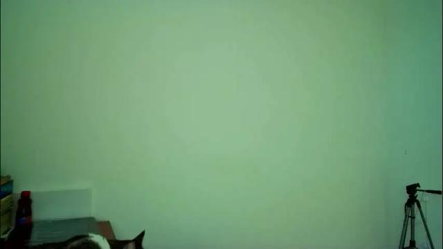 Image 12 of allisson_rose Stream on Chaturbate on 28 days ago