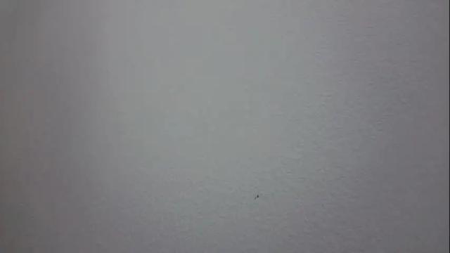 Image 11 of almma_ Stream on Chaturbate on 2 months ago
