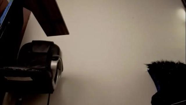 Image 8 of almma_ Stream on Chaturbate on 1 month ago