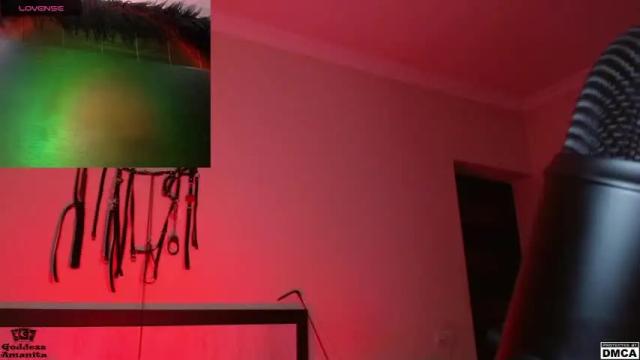 Image 11 of amanita__pantherina Stream on Chaturbate on 12 months ago