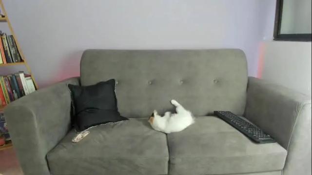 Image 6 of amarantha_galvis Stream on Chaturbate on 1 month ago