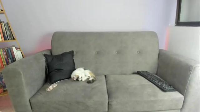 Thumbnail 3, amarantha_galvis's Stream at Chaturbate, 1 month ago