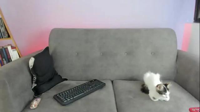 Image 6 of amarantha_galvis Stream on Chaturbate on 27 days ago
