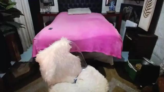 Image 3 of amazingbombshellx Stream on Chaturbate on 16 months ago