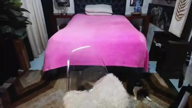 Image 7 of amazingbombshellx Stream on Chaturbate on 15 months ago