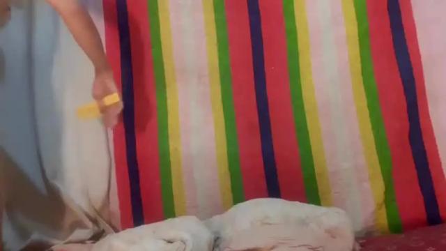 Image 2 of amazonhotfox Stream on Chaturbate on 19 months ago