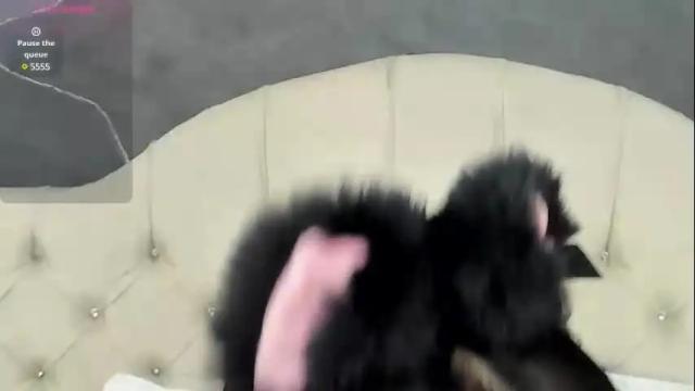 Thumbnail 2, amberrgrey_'s Stream at Chaturbate, 1 month ago