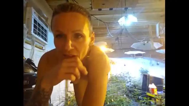 Image 7 of ambularalertisback Stream on Chaturbate on 16 months ago