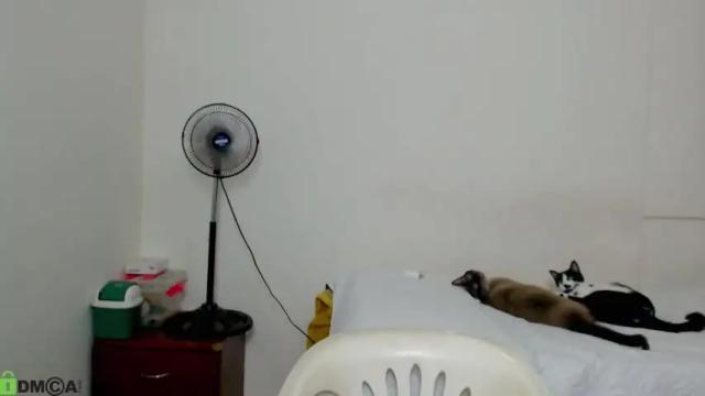 Image 7 of ameli_and_lucas Stream on Chaturbate on 15 months ago
