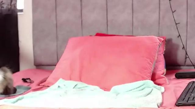 Image 2 of amelia_brunette2 Stream on Chaturbate on 19 months ago
