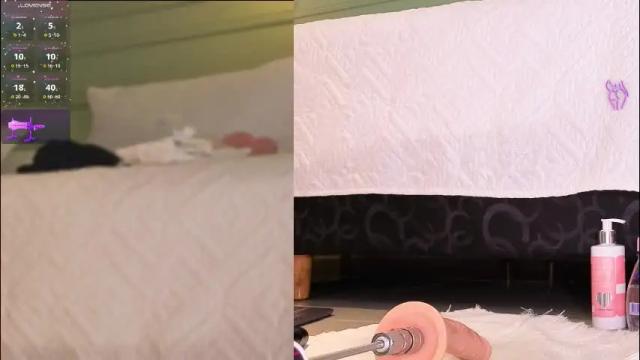 Image 7 of amelia_chillvibes Stream on Chaturbate on 27 days ago