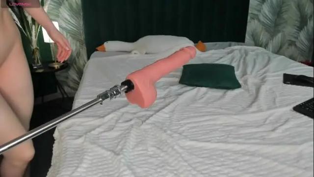 Image 11 of ameliia_castro Stream on Chaturbate on 19 days ago
